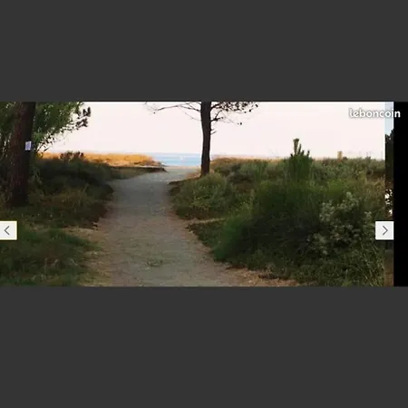 Les Pieds Dans L'eau