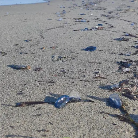 펜션 Les Pieds Dans L'eau *