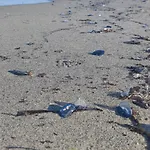 度假居 Les Pieds Dans L'eau *